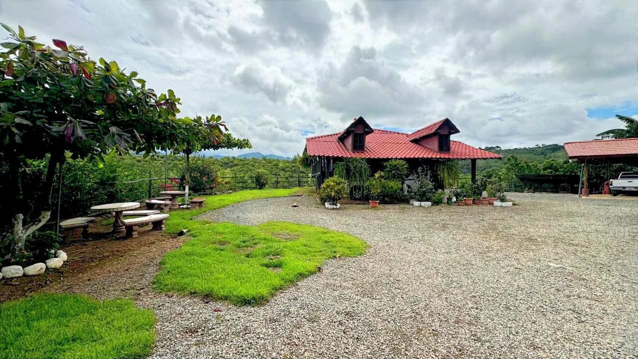 Charming Hardwood Cabin with Fruit Garden Near San Isidro - photo 9