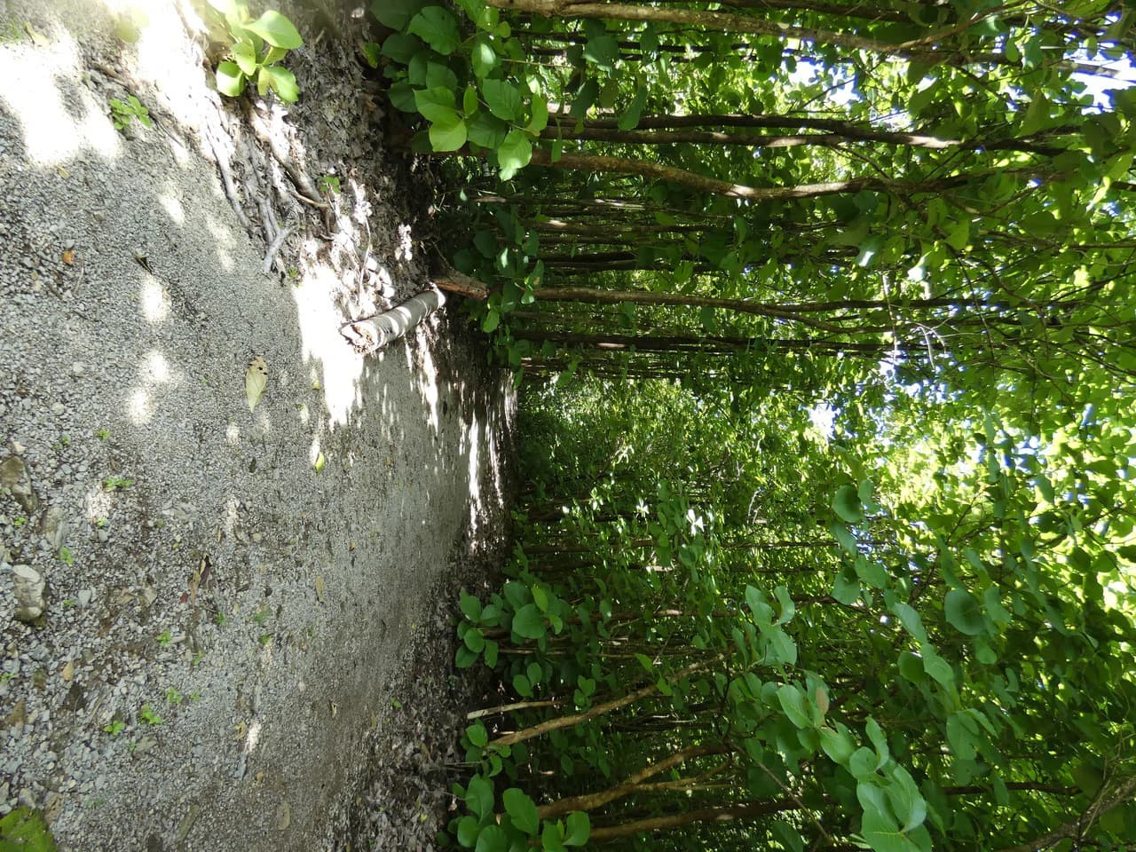 Samara beach property project with own natural reserve and ocean views - photo 11