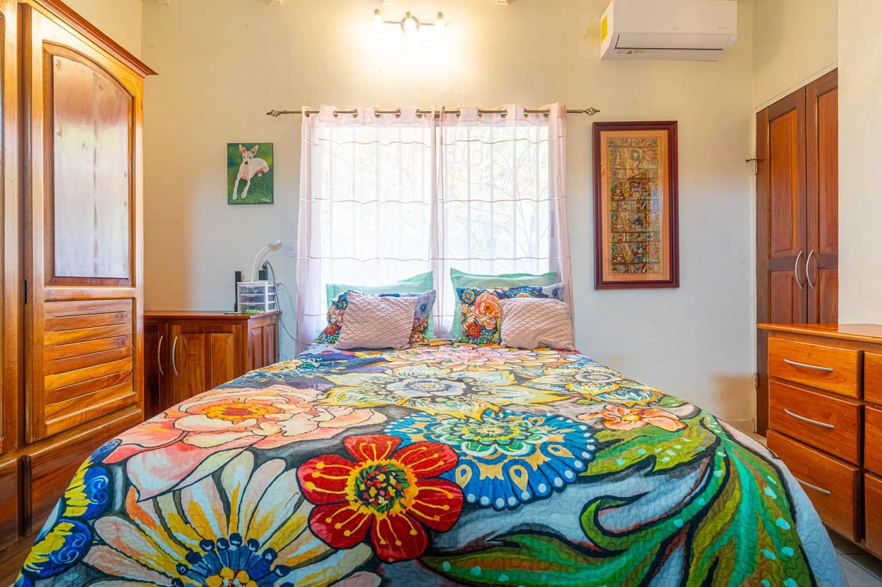 Amazing Mountain View and Ocean View House and Guest House on 4.5 Acres of land in Ojochal - photo 22