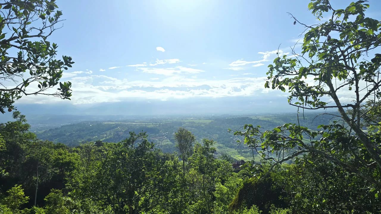 Mountain Agricultural Land For Sale in San Isidro del General - photo 14