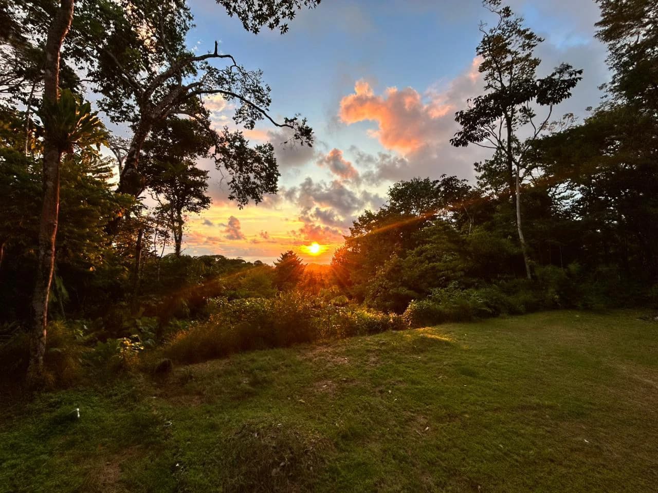 1.7 Acres Ocean View Lot with Producing Cabin in Uvita - photo 24