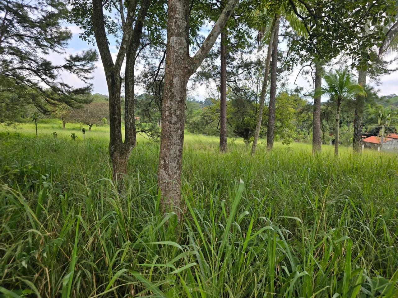 Land for sale in Residencial Montisel - photo 6