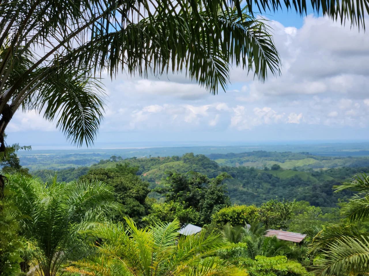 PRIME PARRITA FARM FOR SALE - photo 6
