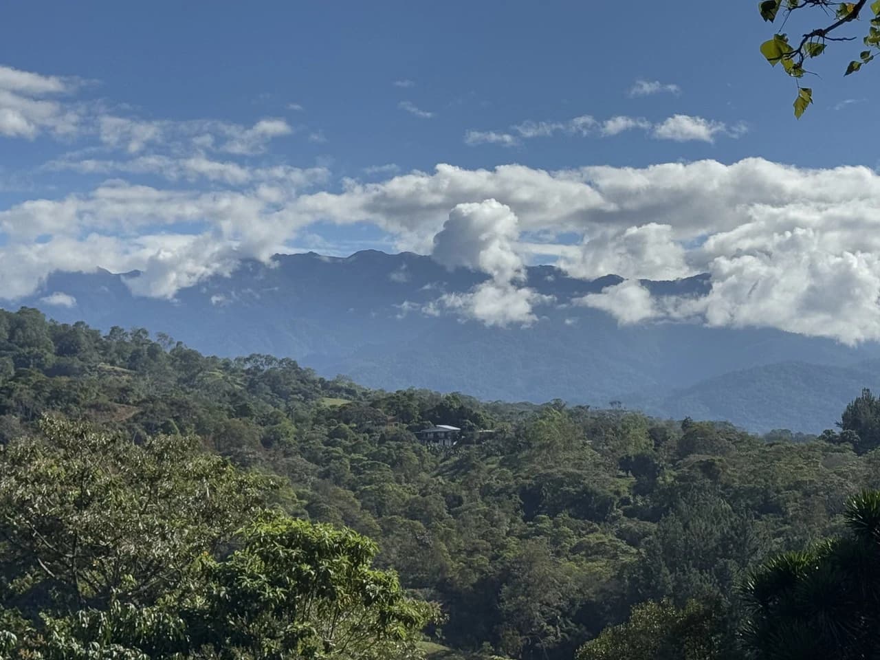 Stunning 2.4 Acre Property in Quebradas San Isidro del General - photo 26
