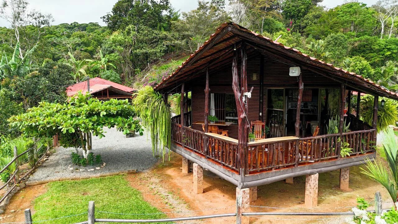 Charming Hardwood Cabin with Fruit Garden Near San Isidro - photo 8