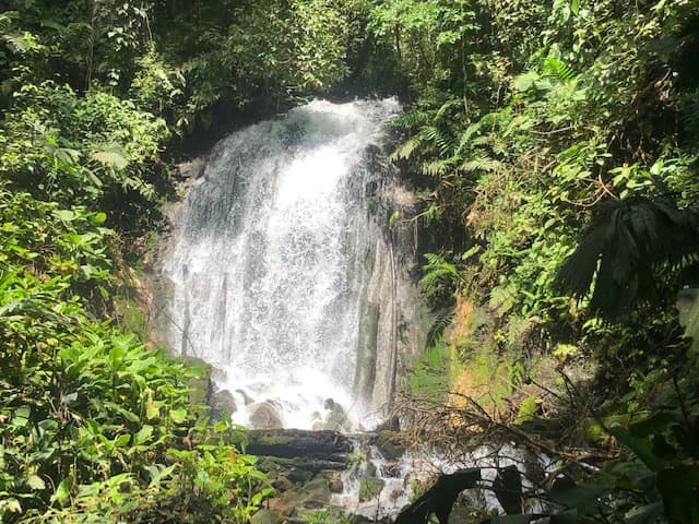 Hot and Cold Thermal Springs for Sale – Beautiful Property in Dos Ríos, Alajuela with Excellent Commercial Potential - photo 61