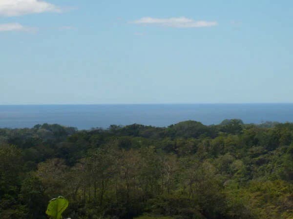 Ocean View Farm