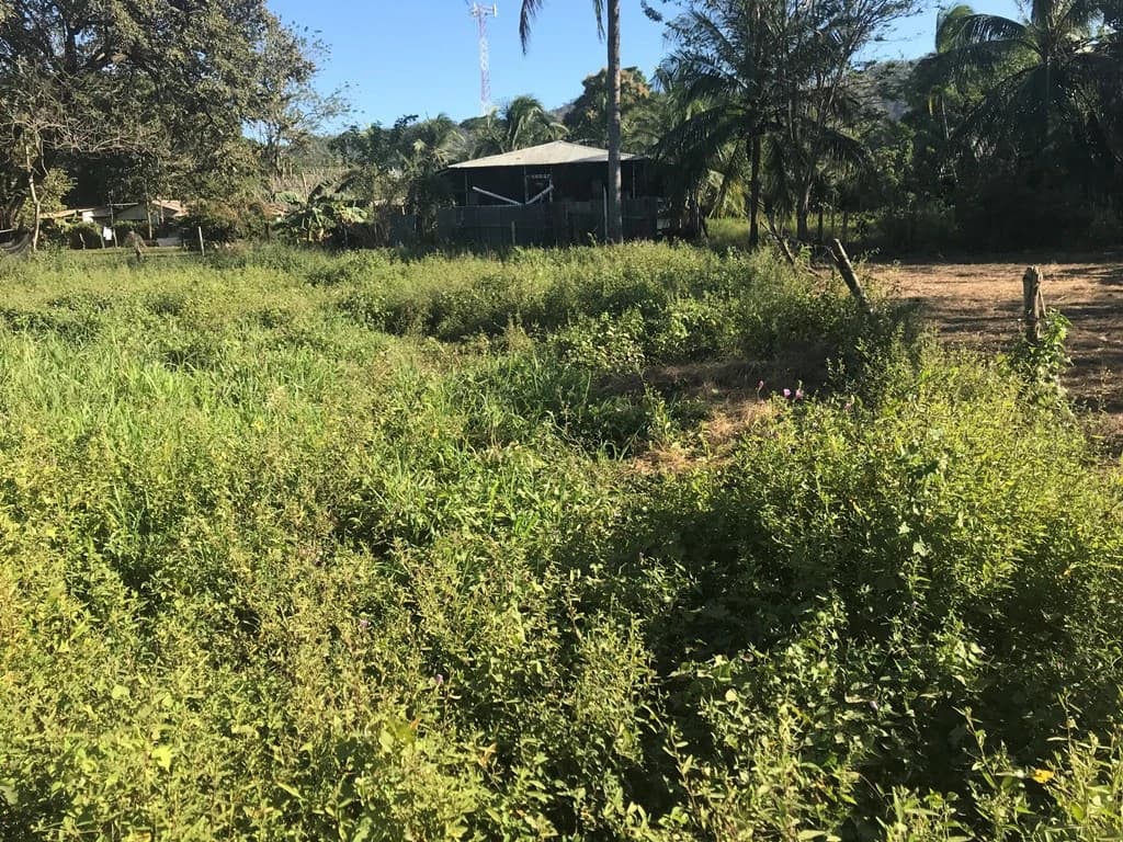 Large beach property in Playas del Coco - photo 2