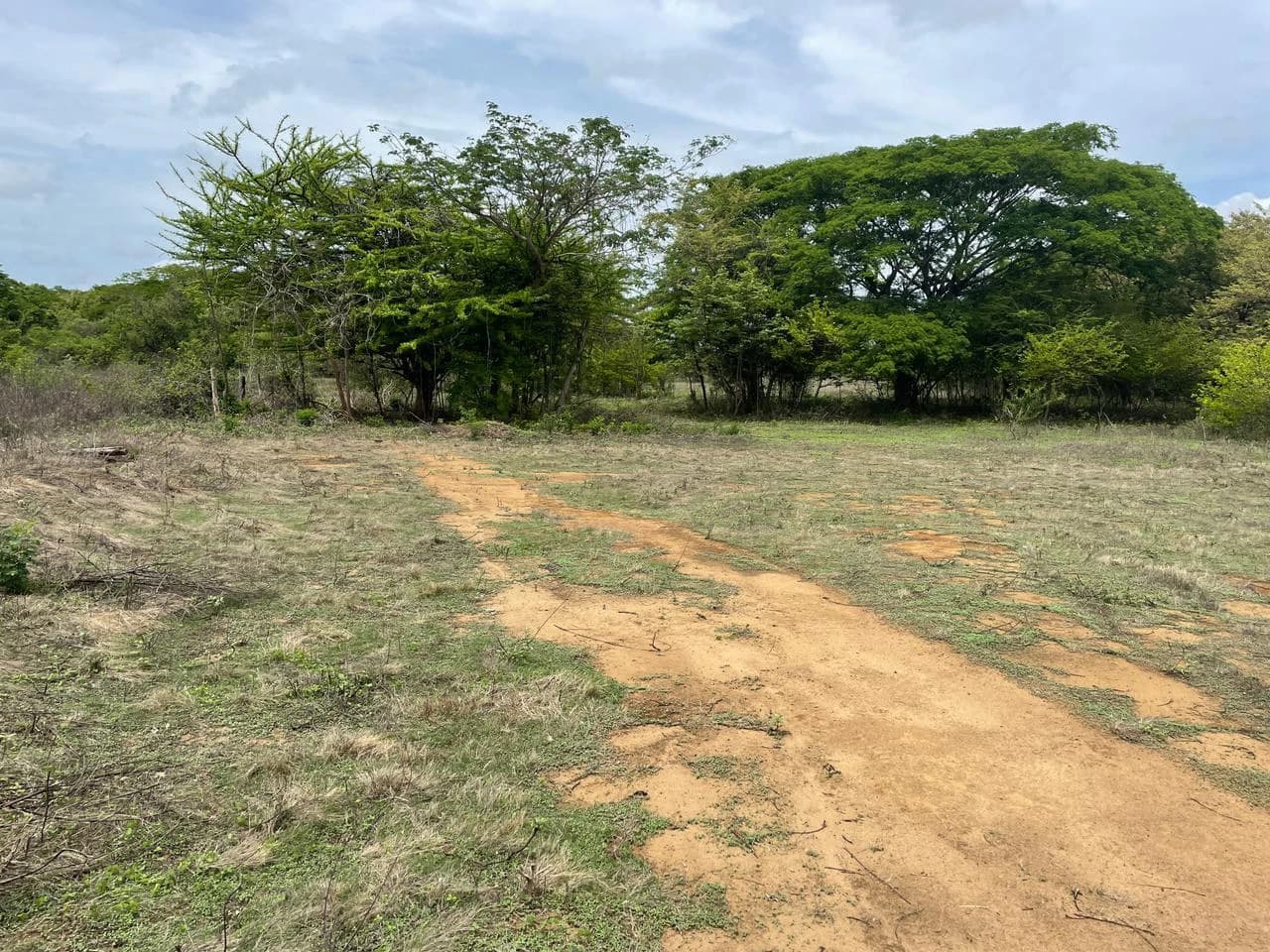 BEST PRICE! For sale comercial Property for warehouses or free zone, 1 km from Liberia Airport, Guanacaste, CR - photo 3
