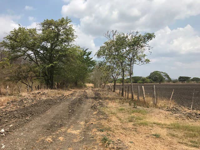 Great opportunity: Big property in Palmira de Carrillo - photo 11