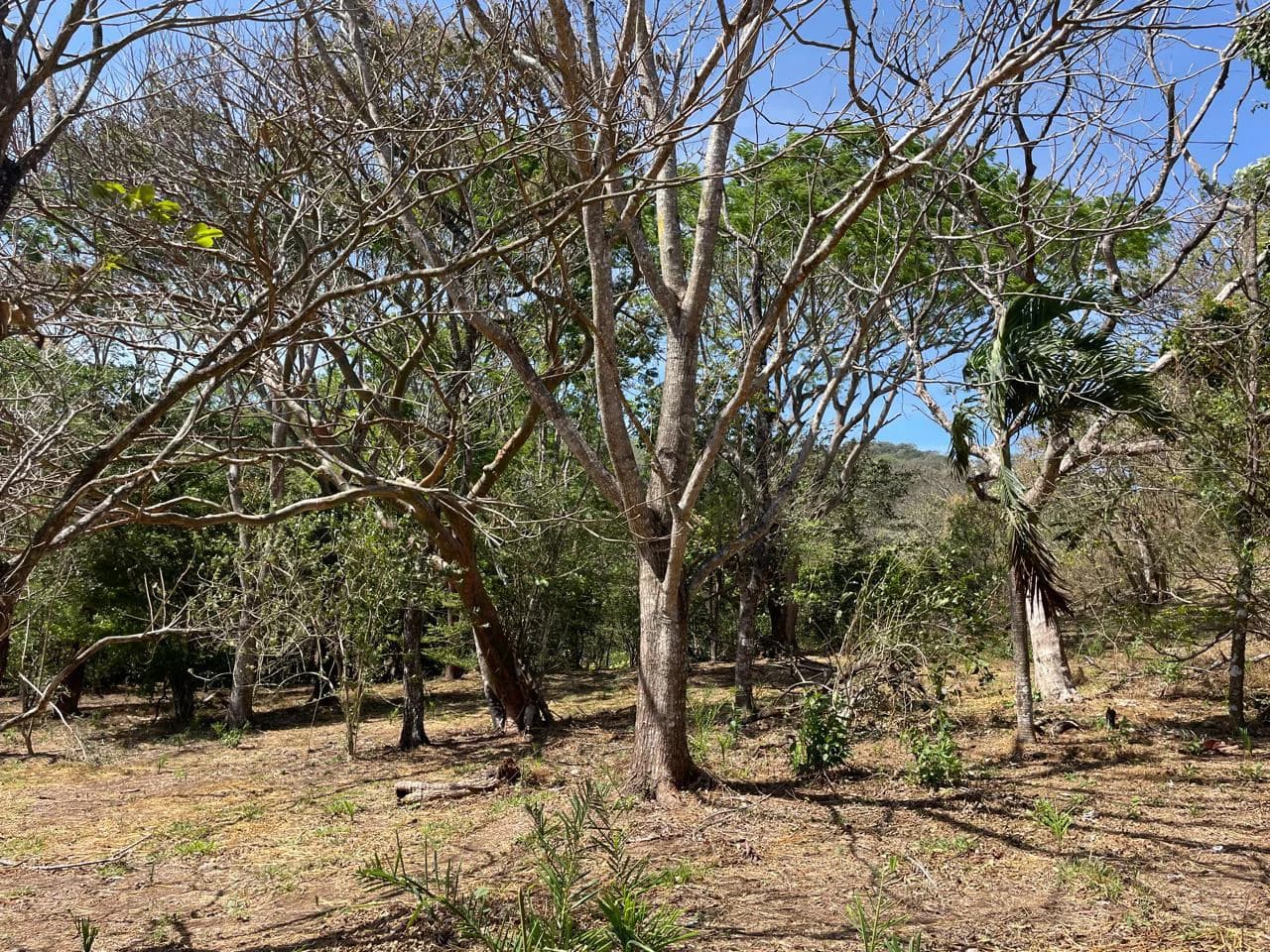 Ocean view property for sale Rodeo Ciudad Colon San Jose Costa Rica - photo 7