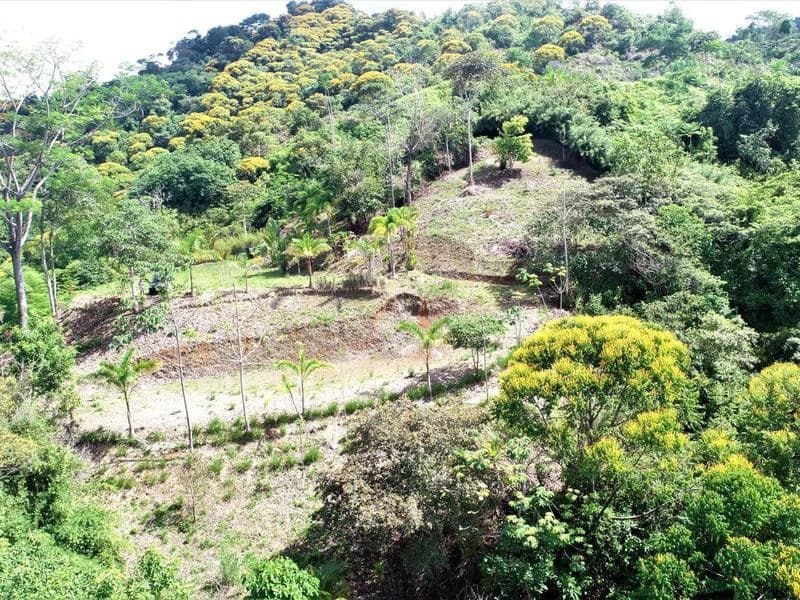 Captivating 3.15-Acre Property: Huge Pricedrop! Firesale Oceanview Lot in Tres Rios - photo 16