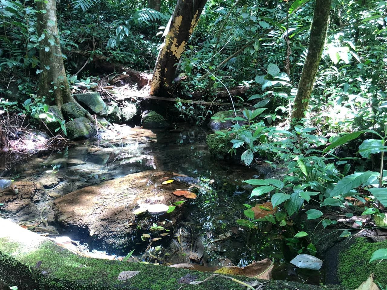 Hot Springs Property in Dos Ríos de Upala – Excellent Investment Opportunity - photo 2
