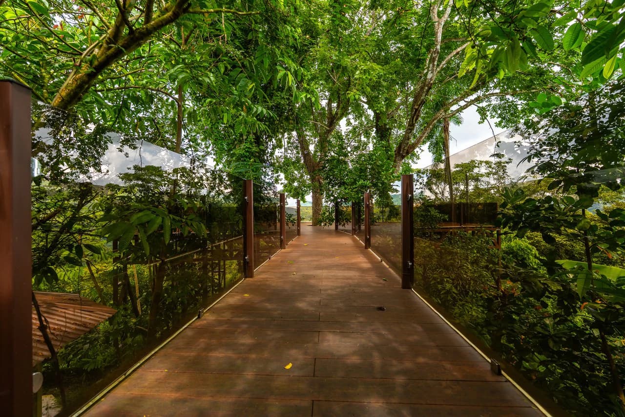 Prime Location 2 Bedroom House Observation Deck - photo 2