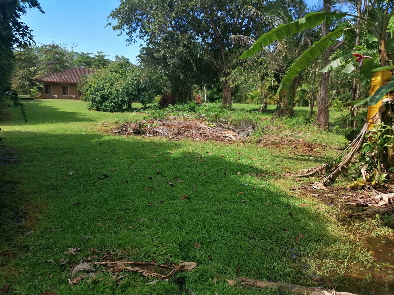 Amazing Home on Huge Lot Near the Beach - photo 42