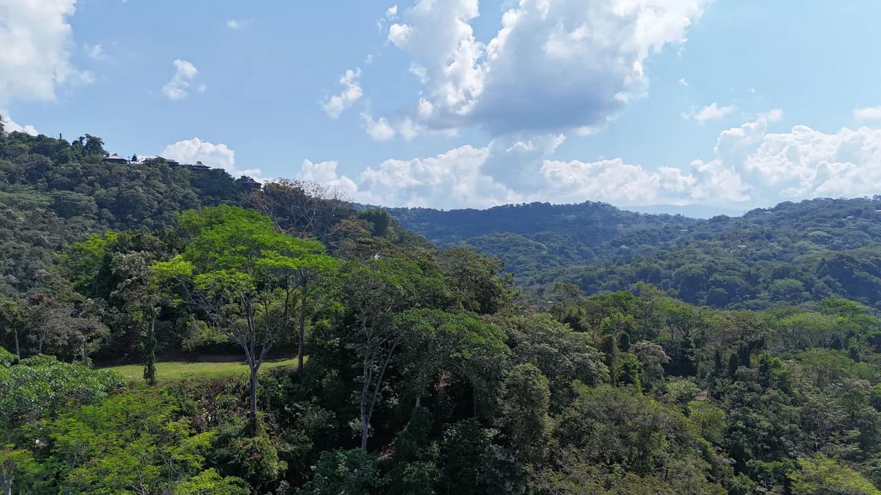 Exceptional Development Opportunity 71 acre Riverfront & Ocean View in Hatillo - photo 7