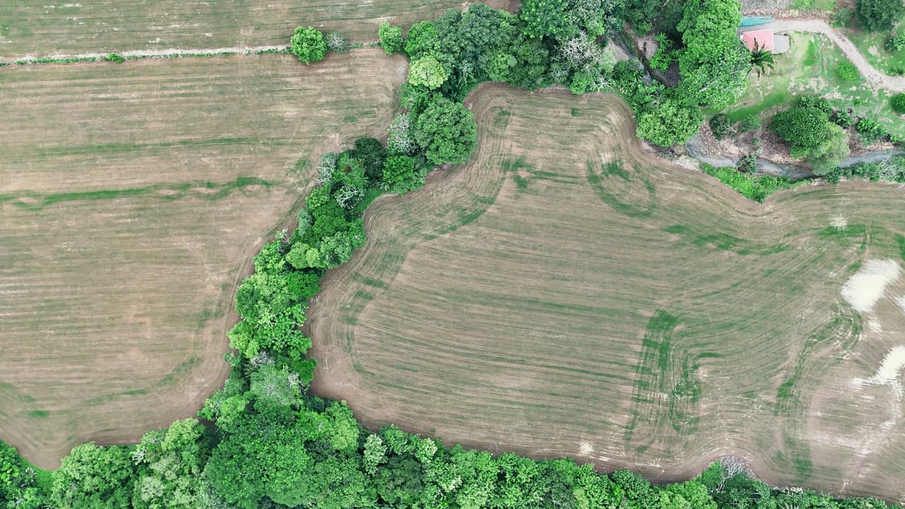 Near the Coast Agricultural Land For Sale in Matapalo - photo 9