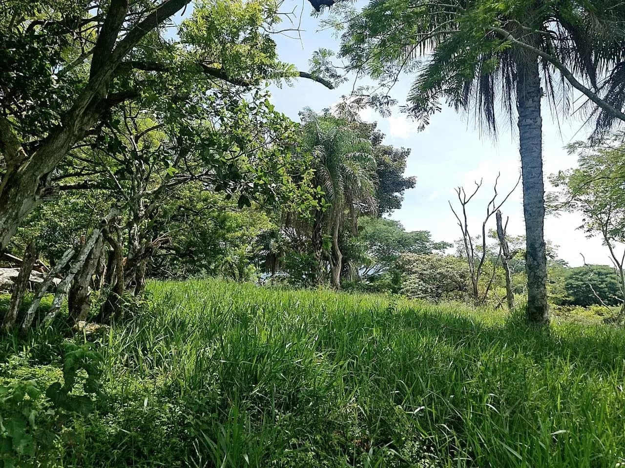Near the Coast and Mountain Home Construction Site For Sale in Orotina y Caldera - photo 11