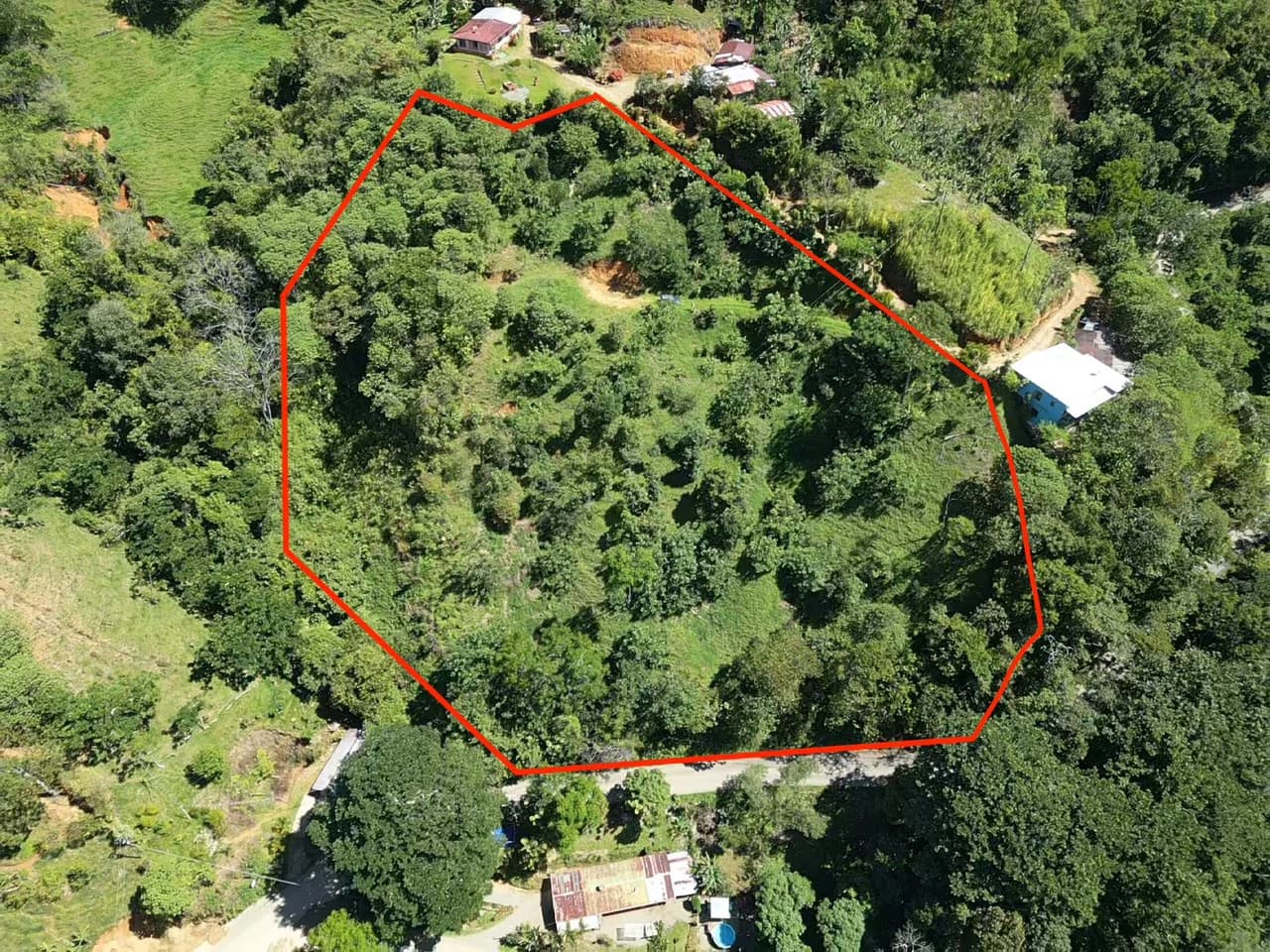 Breathtaking Mountain View Estate in Chimirol, Pérez Zeledón — 1.4 Hectares of Privacy, Nature & Potential: Mountain Home Construction Site For Sale in Chimirol - photo 13