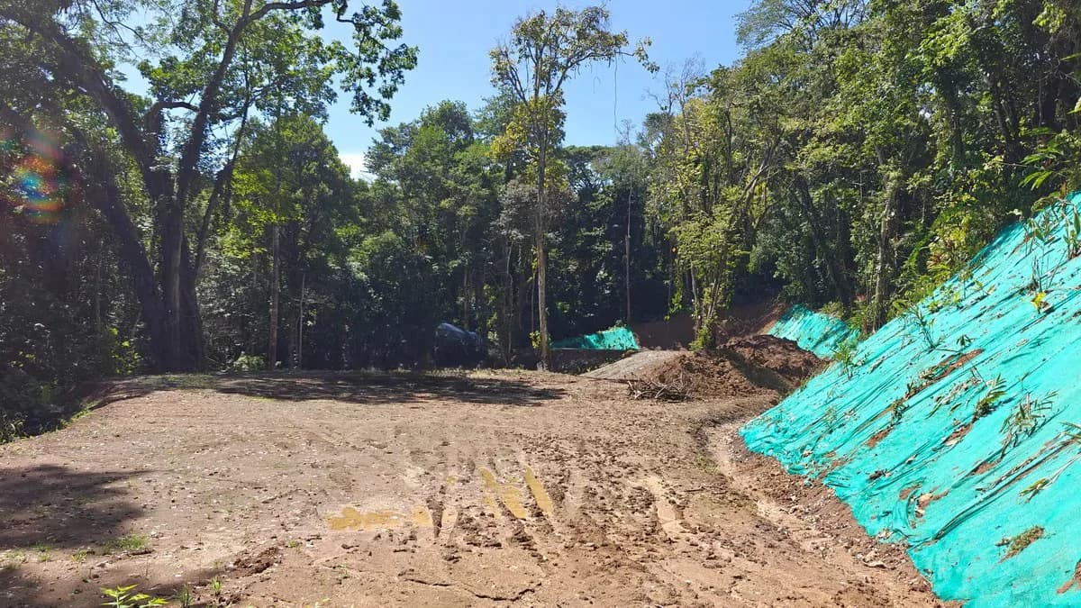 ID 1016: 6974m² Cahuita Titled Jungle Land Near the Beach - photo 3