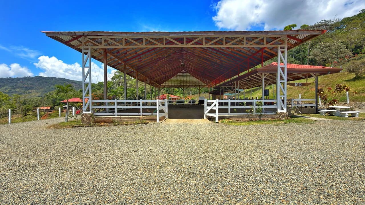 Agricultural Land For Sale in Daniel Flores - photo 17
