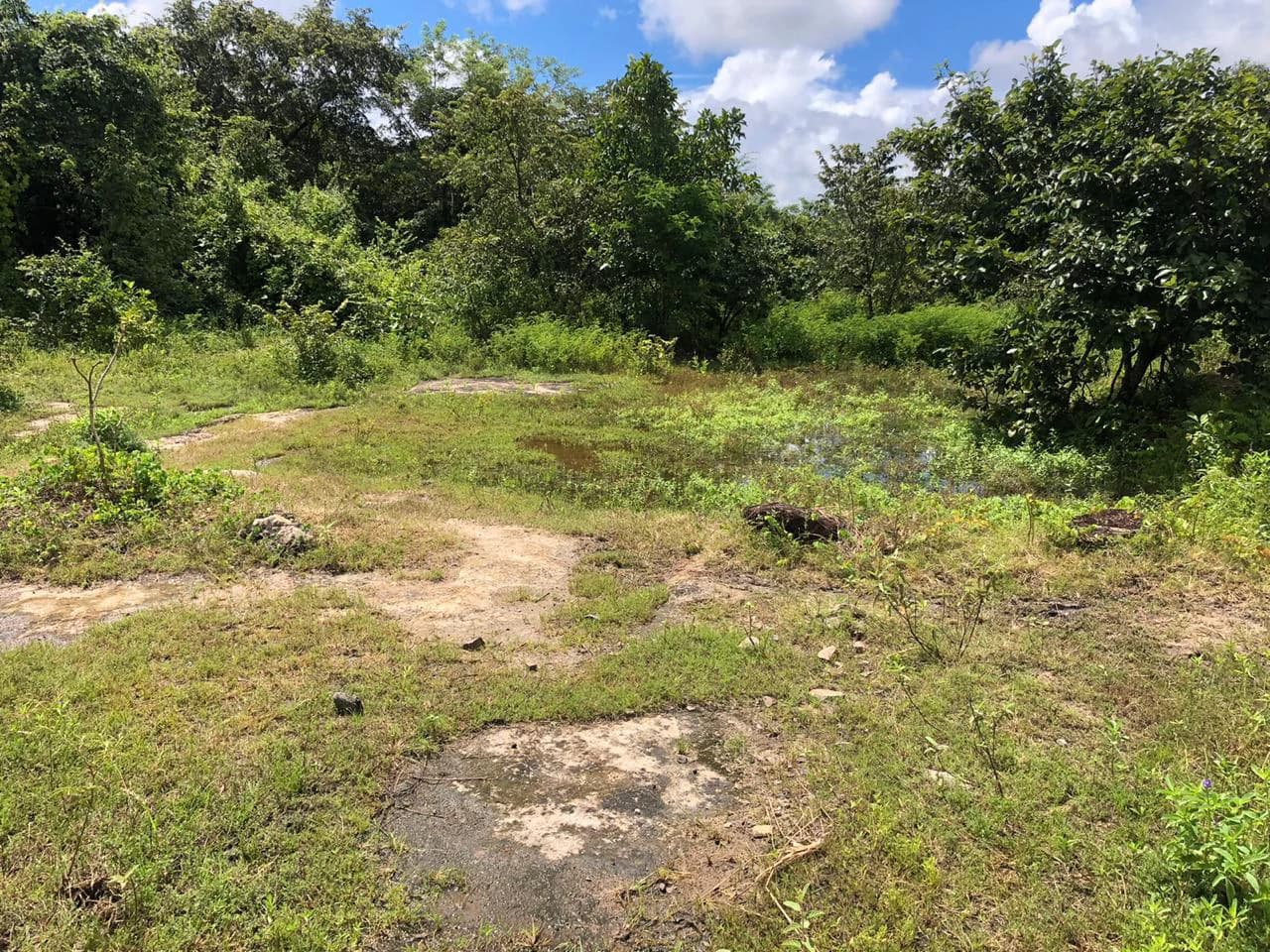 Development property for sale, Building project opportunity close to Liberia Airport and City with beautiful Flat property - photo 9