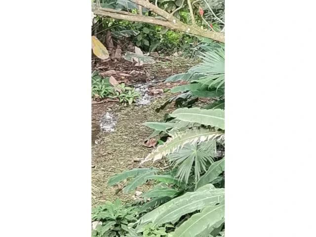 Countryside, Lakefront and Mountain House For Sale in Arenal - photo 8