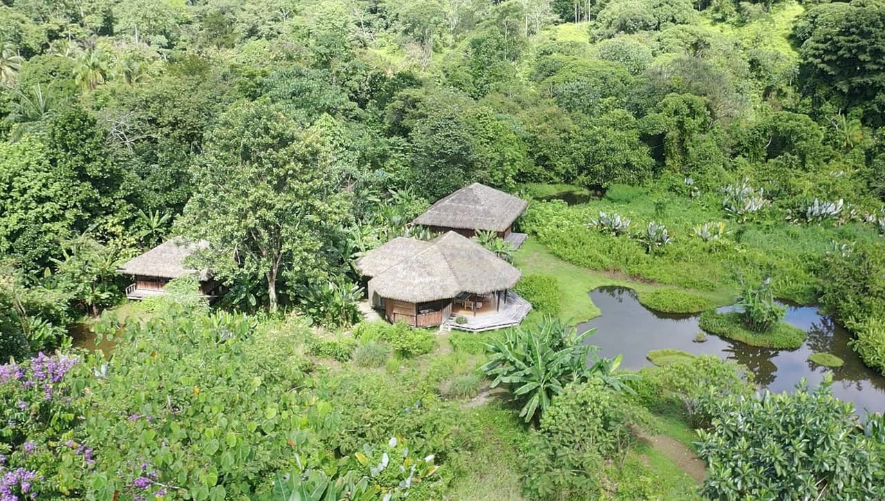 60 Acre Fully Sustainable and Impactful Conservation Initiative Near Golfito: Mountain Multi Unit Building For Sale in Golfito - photo 2
