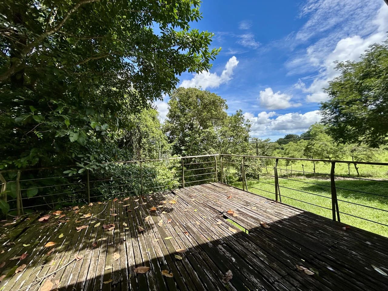 Fixer-Upper Home with an studio Office in Palmar Norte on a 7.58 Acres Property - photo 52