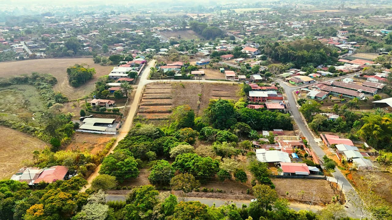 FRUIT TREE PROPERTY FOR SALE: Home Construction Site For Sale in San Isidro del General - photo 3