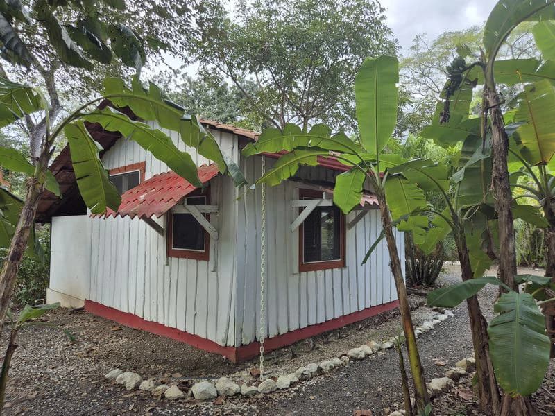 Casas Jungle: Charming Rental Compound with 5 units & pool in the heart of nature, minutes from Samara’s beaches - photo 12