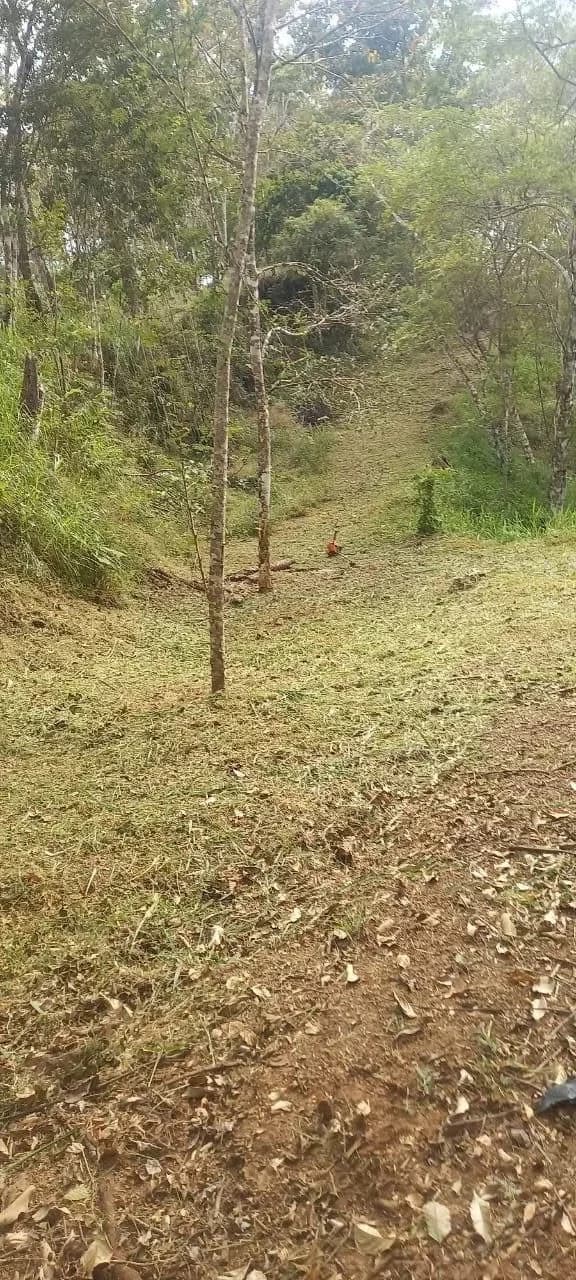 $2,200,000USD hectares: Ocean View Development Land for Sale in Tambor Costa Rica – 58 Hectares on the Nicoya Peninsula - photo 10