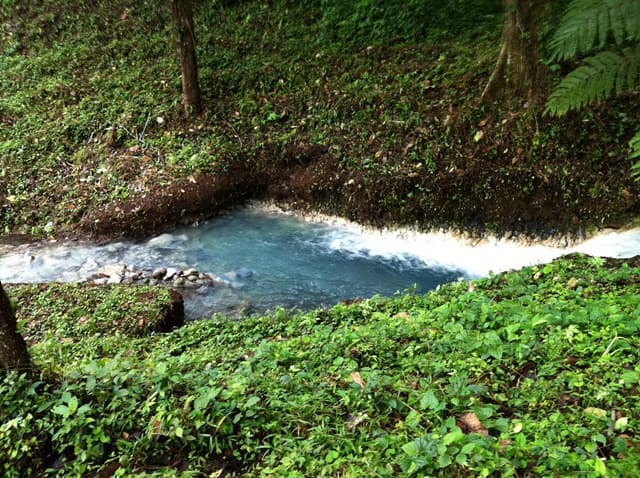 Hot and Cold Thermal Springs for Sale – Beautiful Property in Dos Ríos, Alajuela with Excellent Commercial Potential - photo 66