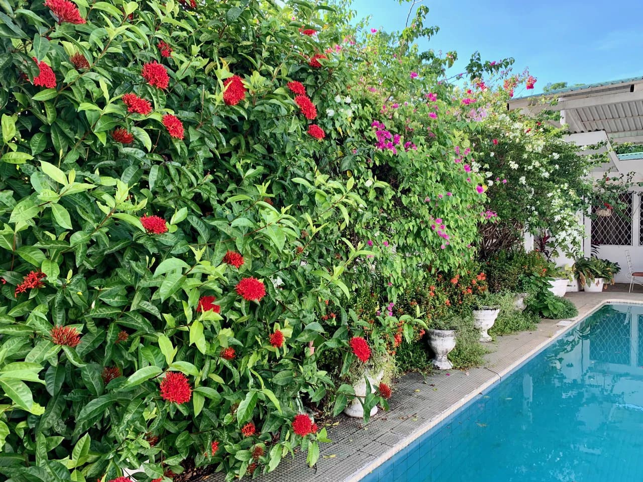 Land for sale to develop with house Liberia Guanacaste Costa Rica - photo 15