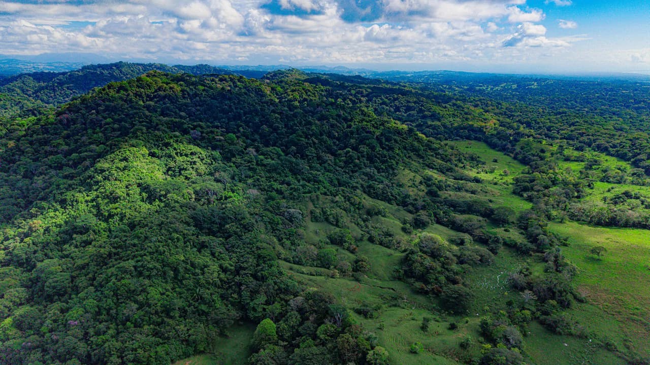 4,850 Acre Beachfront Legacy Ranch Esterillos Central Pacific Coast - photo 7