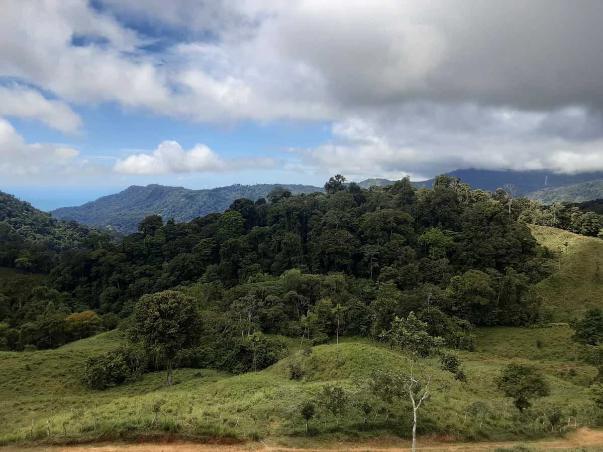 Finca Tesoro Escondido - The Jewel of Uvita - photo 2