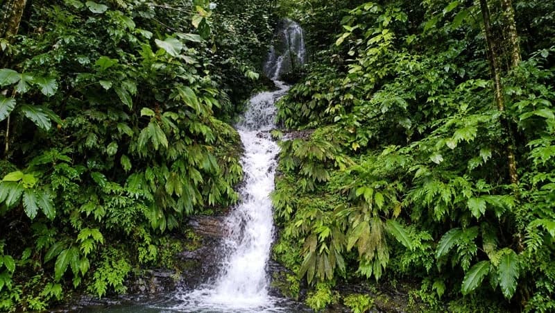 116-Hectare Finca for Sale Near Uvita with Whales Tail Views and 10 Waterfalls | La Faralla, Bahia Ballena, Uvita, Puntarenas, Costa Rica - photo 7