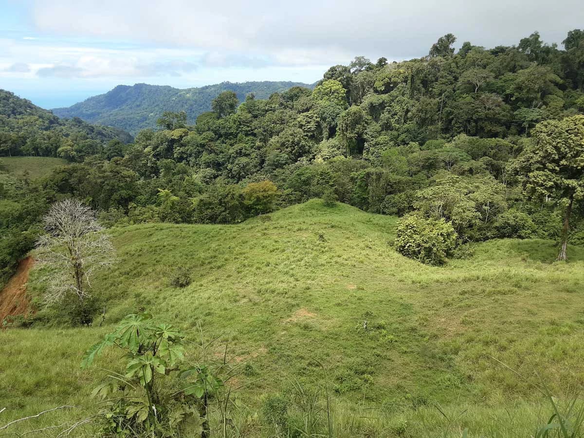 Finca Tesoro Escondido - The Jewel of Uvita - photo 38
