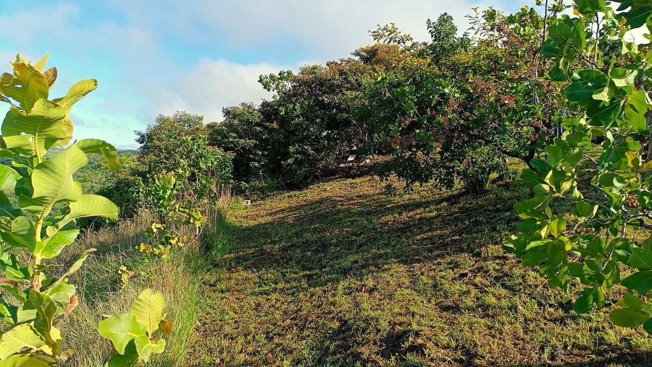 Hill top house with amazing sunset views GB0125: Peaceful Retreat with developing Potential: Property with 2 Homes and Panoramic Views in Guayabo de Bagaces - photo 30