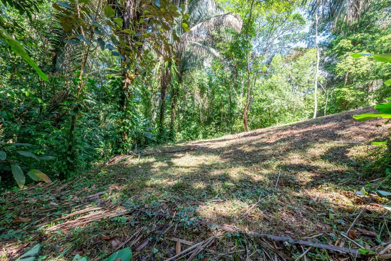 Surfers Paradise! Two Usable Lots for Building in Playa Hermosa Near Uvita!!: Mountain Home Construction Site For Sale in Playa Hermosa - photo 17