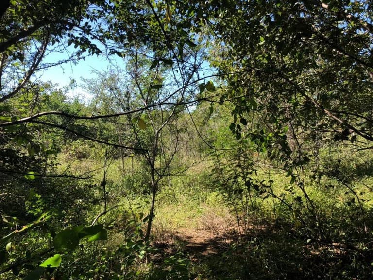 HIGHWAY TO HEAVEN: Commercial potential ! Large property on the Panamerican Highway. - photo 13