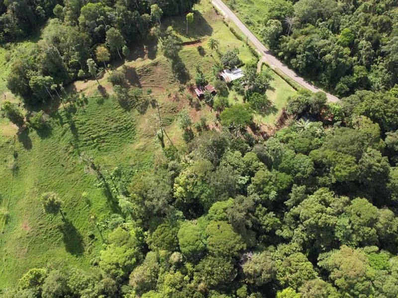 69.16 Acres Property | Mountain & Top Ocean View with Small Home - photo 11