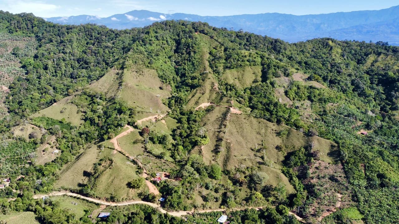 Finca Ceibo Memo: Mountain Home Construction Site For Sale in San Isidro del General - photo 24