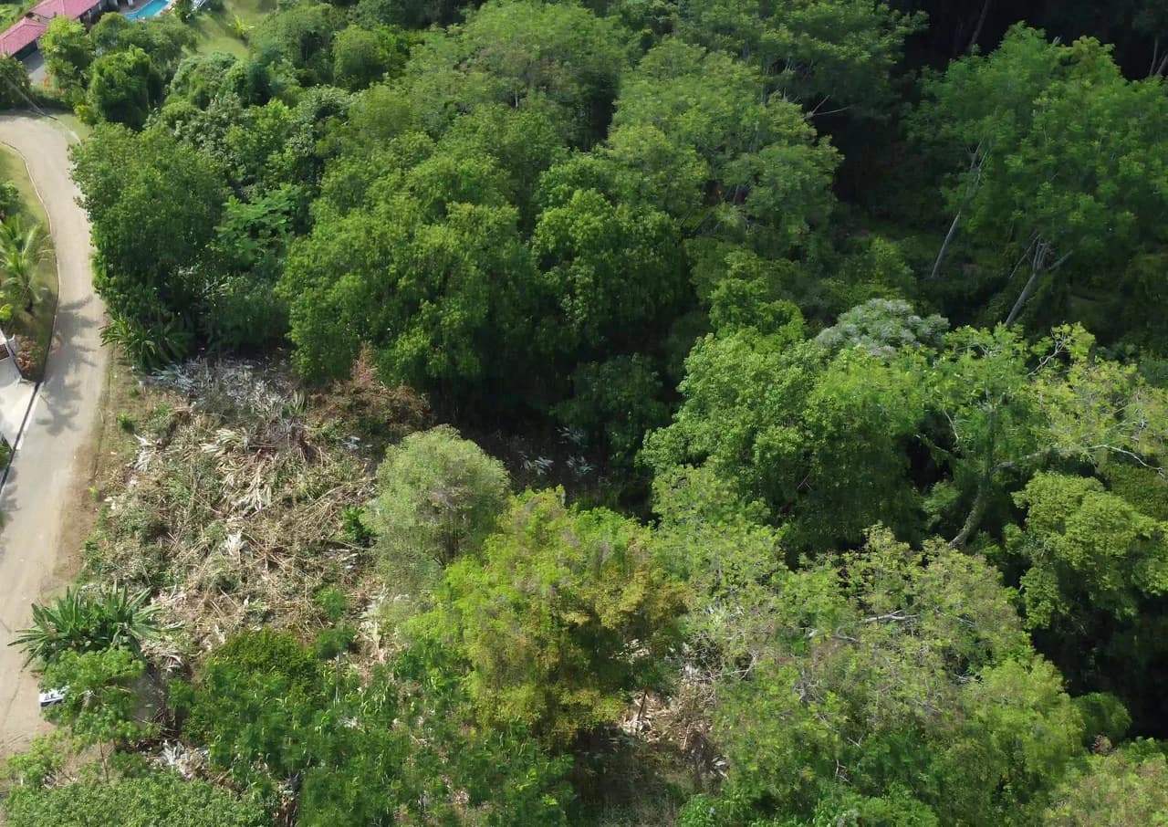 Ojochal - 1 Acre Ready To Build Jungle Lot, Ocean Breezes in Wildlife Corridore - photo 4