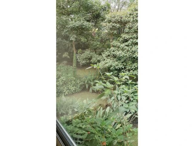 Countryside, Lakefront and Mountain House For Sale in Arenal - photo 31