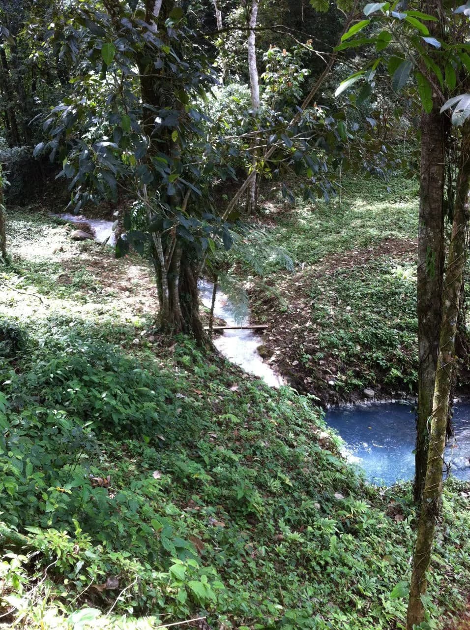 Hot and Cold Thermal Springs for Sale – Beautiful Property in Dos Ríos, Alajuela with Excellent Commercial Potential - photo 72