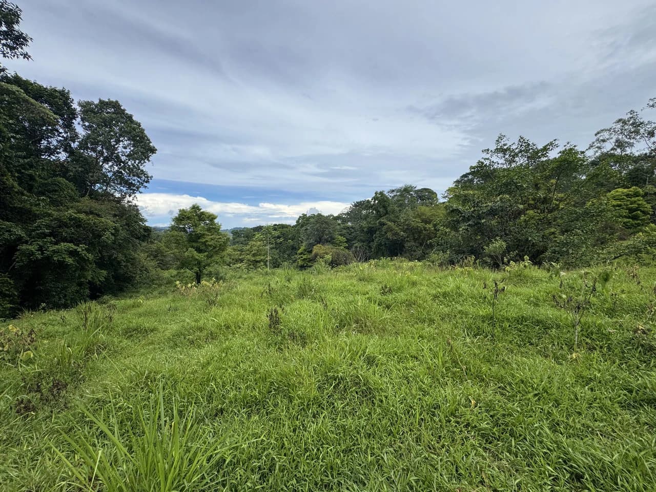 19 Acre Riverfront Lot with Private Waterfall la Perla Dominical - photo 10