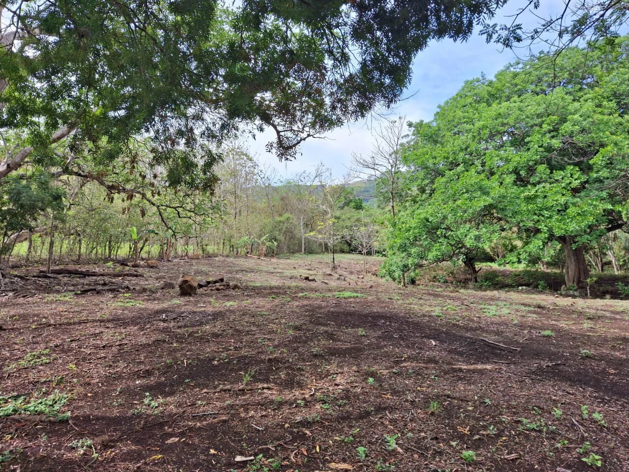 Finca Nature: Beautiful Private Finca near Atenas! - photo 6