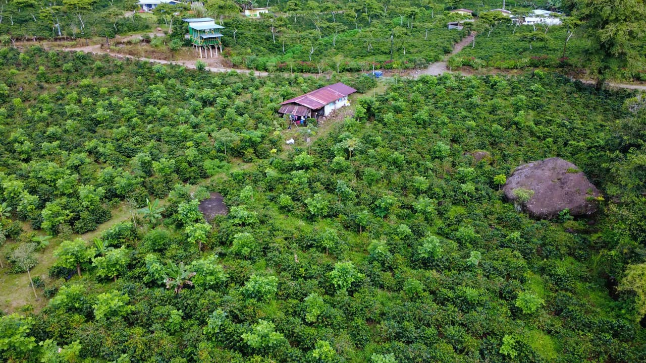 Countryside Agricultural Land For Sale in Santa Elena de San Isidro - photo 5