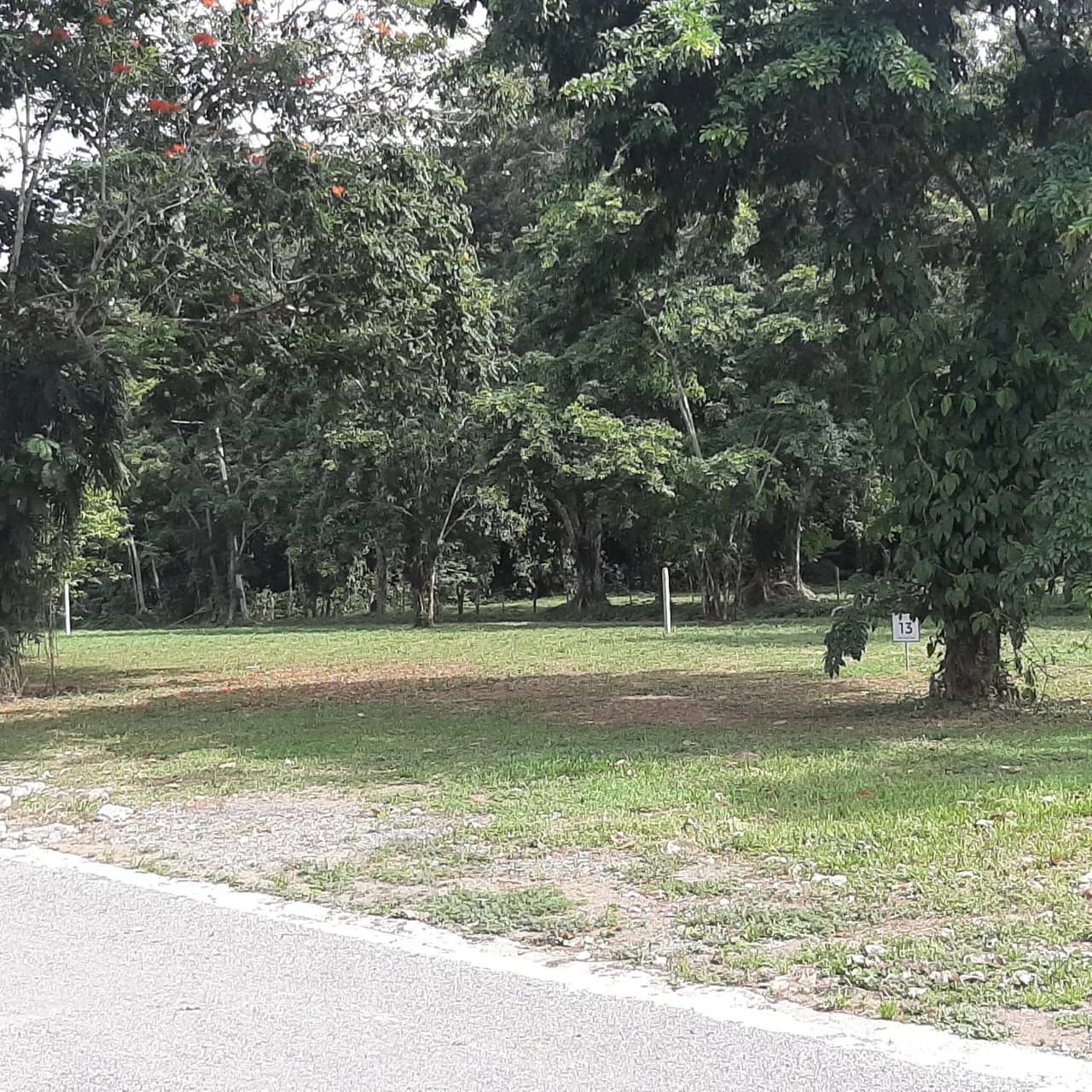 2000sqm lots close to the coast available now - photo 3